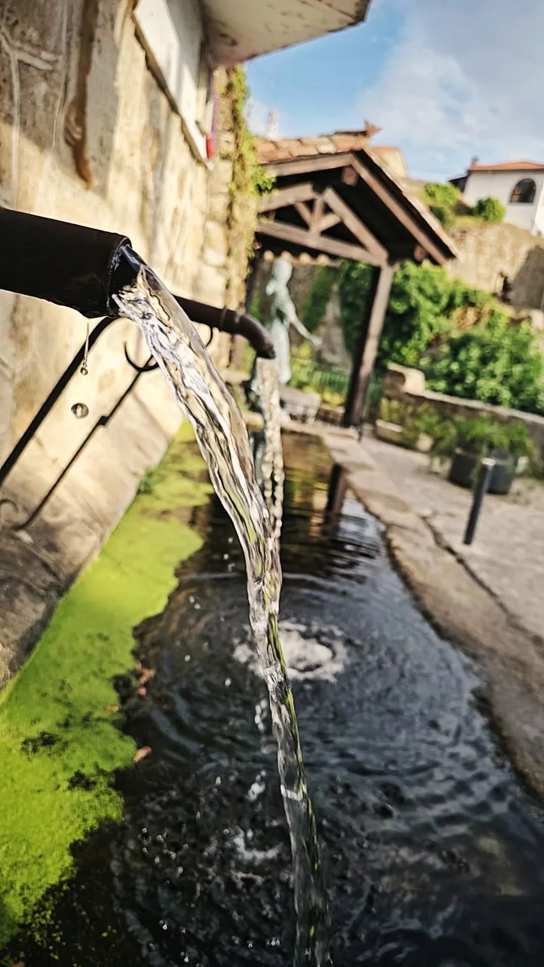 CHAFARIL | Café Descafeinado Natural (84 SCA) (Sugar Cane) - Mañego Coffee