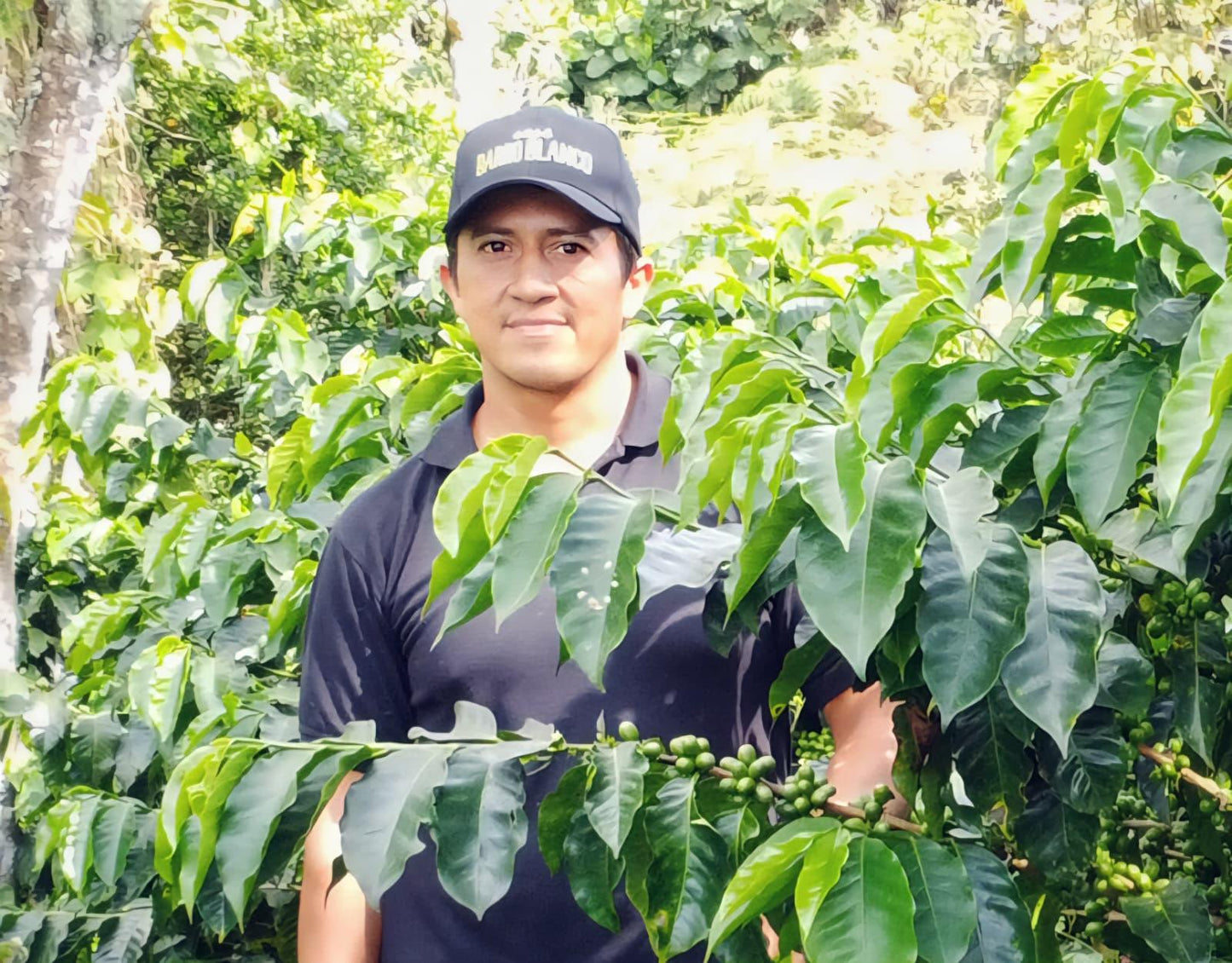 SOIDI | Café de Origen Único de Colombia (85 SCA) - Mañego Coffee